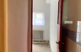 Apartament 1 cameră, 30 mp, renovabil, Dambul Rotund