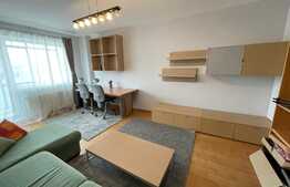 Apartament 2 camere, decomandat, pet friendly, zona strazii Arinilor