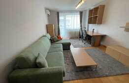 Apartament 2 camere, decomandat, pet friendly, zona strazii Arinilor