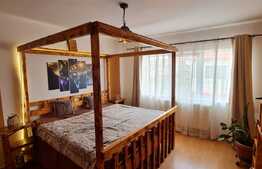 Duplex cu 4 camere si 290 mp de teren, Terra