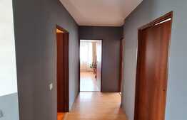 Duplex cu 4 camere si 290 mp de teren, Terra