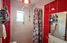 Duplex cu 4 camere si 290 mp de teren, Terra