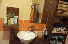 Duplex cu 4 camere si 290 mp de teren, Terra