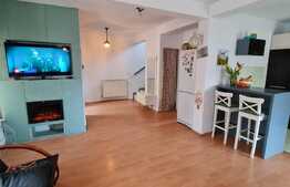 Duplex cu 4 camere si 290 mp de teren, Terra