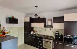 Duplex cu 4 camere si 290 mp de teren, Terra