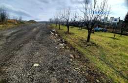 Oportunitate! Teren intravilan 630 mp, cu autorizatie de constructie duplex, Borhanci