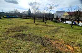 Oportunitate! Teren intravilan 630 mp, cu autorizatie de constructie duplex, Borhanci