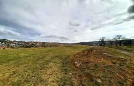 Oportunitate! Teren intravilan 630 mp, cu autorizatie de constructie duplex, Borhanci