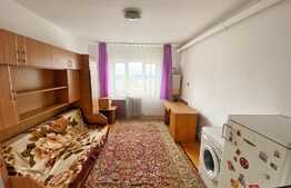 Garsoniera 22 mp, etaj intermediar, zona Traian Vuia 