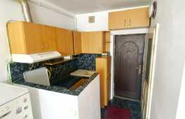 Garsoniera 22 mp, etaj intermediar, zona Traian Vuia 