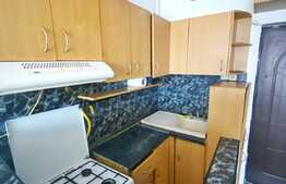 Garsoniera 22 mp, etaj intermediar, zona Traian Vuia 