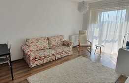 Apartament luminos de 2 camere, parcare, 50 mp, zona, Aurel Vlaicu