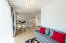 Apartament 2 camere, etaj intermediar, mobilat, zona semicentrala