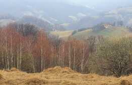 Teren 9648 mp, priveliste superba, Poiana Marului!