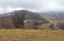 Teren 9648 mp, priveliste superba, Poiana Marului!