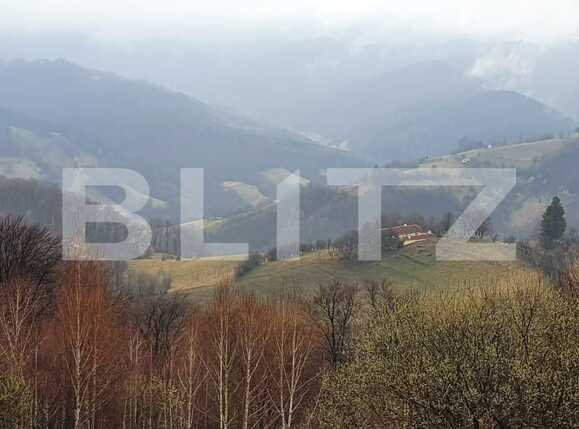 Teren de vânzare Est - 83950TV | BLITZ Brașov | Poza2