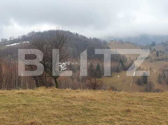 Teren de vânzare Est - 83950TV | BLITZ Brașov | Poza6