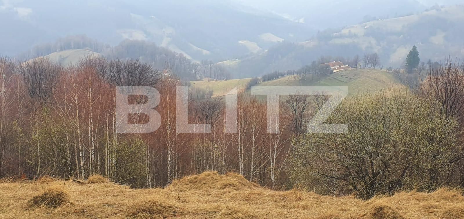 Teren de vânzare Est - 83950TV | BLITZ Brașov | Poza5