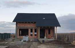 Casa la rosu de 120 mp in Bod