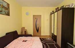 Camera de camin, 20 mp, zona Astra