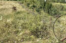 Teren extravilan de 11000 mp in Bontida