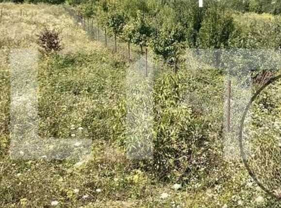 Teren de vânzare Exterior Est - 83974TV | BLITZ Cluj-Napoca | Poza1