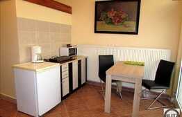 Garsoniera, 25 mp, mobilat dragut, zona strazii Horea