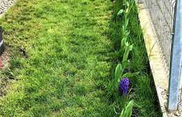 Apartament 3 camere, decomandat, gradina 74 mp, parcare, Avantgarden