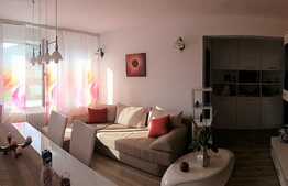 Apartament de 2 camere, zona Centrul Civic, aproape de mall AFI