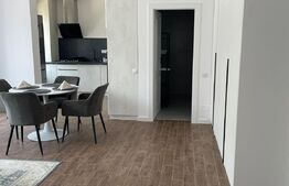 Apartament 2 camere, 52 mp, terasa 35 mp, parcare, zona Teilor