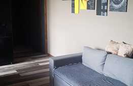 Apartament 3 camere, 56 mp, modern, zona Tineretului