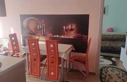 Garsoniera de 30 Mp, parcare cu CF, zona Porii!