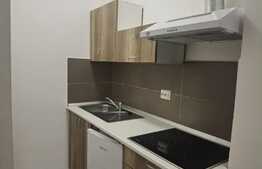 Garsoniera de 30 mp, mobilat modern, zona strazii Decebal