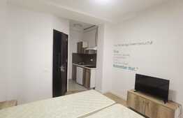 Garsoniera de 30 mp, mobilat modern, zona strazii Decebal