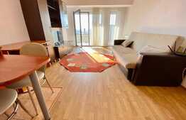 Apartament 2 camere, 55 mp, parcare, pet friendly, zona Piata 1 Mai