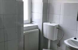 Garsoniera de 40 mp, recent renovata, zona Platinia