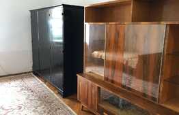 Garsoniera de 40 mp, recent renovata, zona Platinia