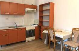 Garsoniera de 40 mp, recent renovata, zona Platinia