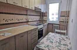 Apartament de 2 camere, 40 mp, pet friendly, zona Casa Piratilor 