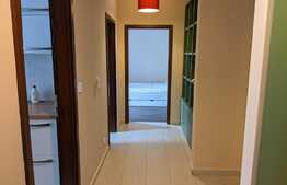 Apartament de 2 camere, decomandat, 55 mp, A.C, parcare subterana, zona BRD Central