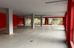 Spatiu comercial, 383 mp, zona Expo Transilvania