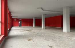 Spatiu comercial, 383 mp, zona Expo Transilvania