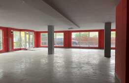 Spatiu comercial, 383 mp, zona Expo Transilvania