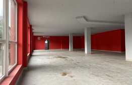 Spatiu comercial, 383 mp, zona Expo Transilvania