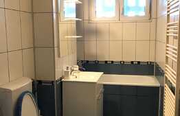 Apartament de 3 camere, 70 mp, mobilat modern, zona strazii Constantin Brancusi