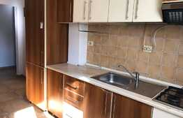 Apartament de 3 camere, 70 mp, mobilat modern, zona strazii Constantin Brancusi