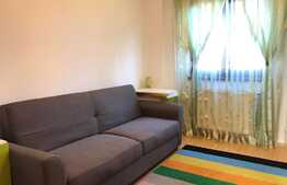 Apartament de 3 camere, 70 mp, mobilat modern, zona strazii Constantin Brancusi