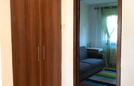 Apartament de 3 camere, 70 mp, mobilat modern, zona strazii Constantin Brancusi