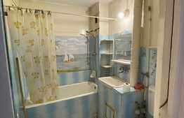 Garsonieră, 28 mp, balcon, zona Big 