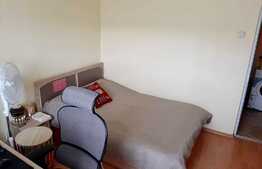 De inchiriat 2 camere, 50mp, zona Sigma, Zorilor, Pet Friendly